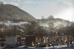 Slobodan 
Лешје у зимском руху 
2007-01-01 13:49:16