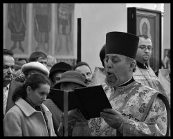 palavos 
Deacon  Marek 
2007-01-31 15:08:32