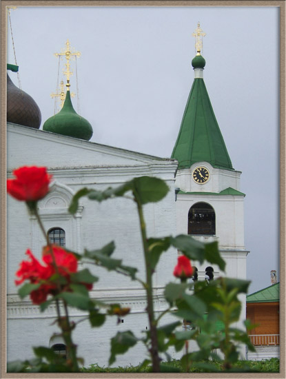 The flowering time (Время цветения)