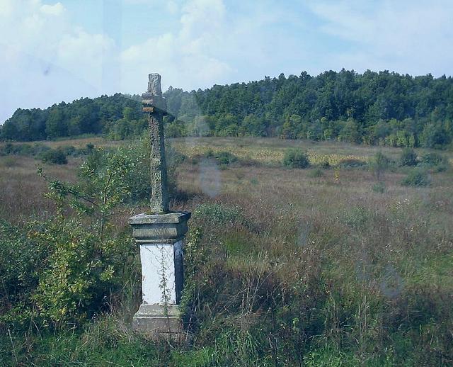Troita