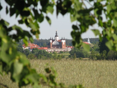 "Wśród pól i lasów..."