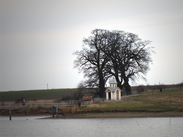 Troita de peste lac