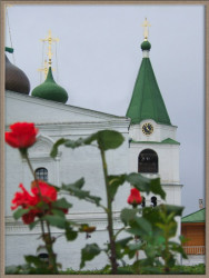 vjunsoh 
The flowering time (Время цветения) 
2007-02-02 18:44:55