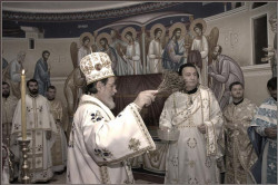 b.backovic 
+ Освештавање + 
2007-02-08 23:31:08