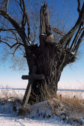 rps 
*** 
2007-02-13 19:20:08