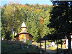 zidan2703 
Schitul "Coltul Chiliilor" - Zarnesti , Brasov  (2) 
2007-02-14 11:33:25
