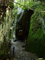 tea 
Pestera Sfintei Teodora de la Sihla / The cave of Saint Teodora from Sihla 
2007-02-14 20:39:17