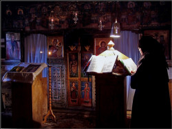 ovidiu_m 
memorial(2) 
2007-02-19 17:15:27