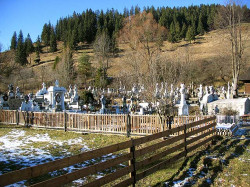 mihaela 
Cemetery from Putna village 
2007-02-26 20:37:41