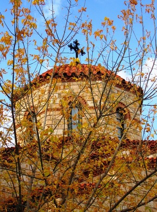 autumn... (1)