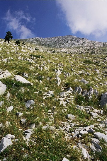 Agion Oros 2006 - Photo 27