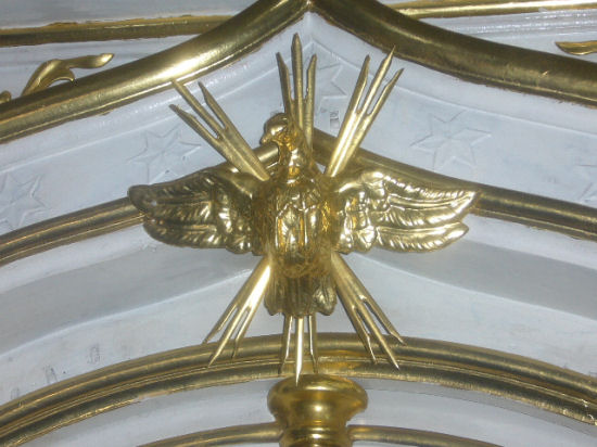 gołębica