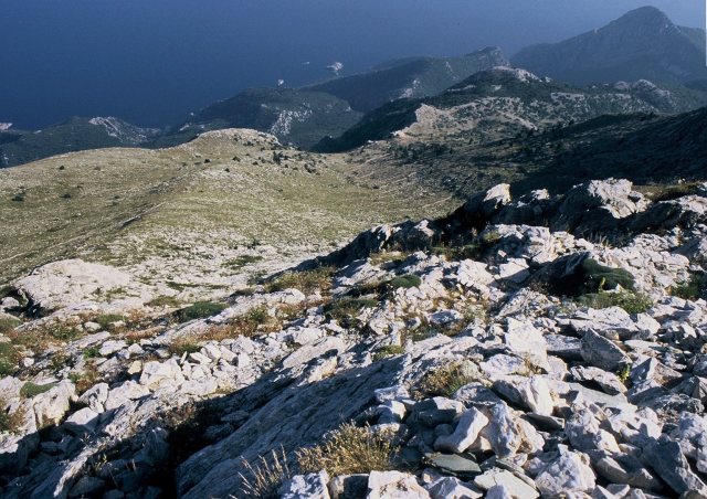 Agion Oros 2006 - Photo 28