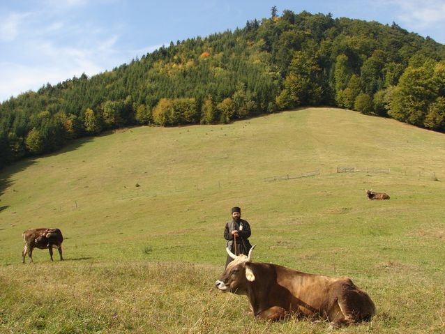 Binecuvantare