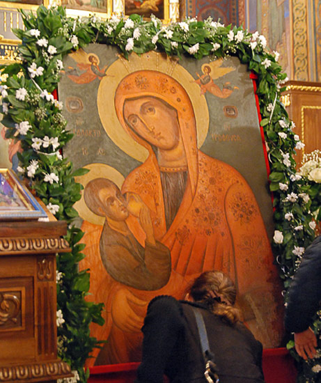Млекопитатељница