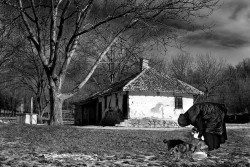 Slobodan 
Надомак манастира у Лешју 
2007-03-06 08:27:04
