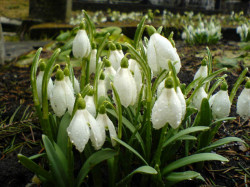 Bunatate 
 
2007-03-06 22:56:18