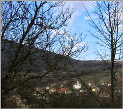 perovict 
Ој, Србијо... 
2007-03-09 15:57:46