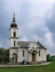 Zoran Sremski 
Трњаци - Trnjaci 
2007-03-19 23:24:00