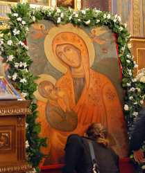 Vladapop 
Млекопитатељница 
2007-03-25 23:01:09