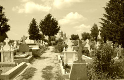 mihaela 
Cemetery and church in Sintesti village near Bucharest 
2007-03-27 22:20:53