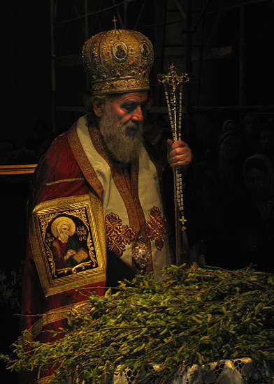 Освећење врбових гранчица