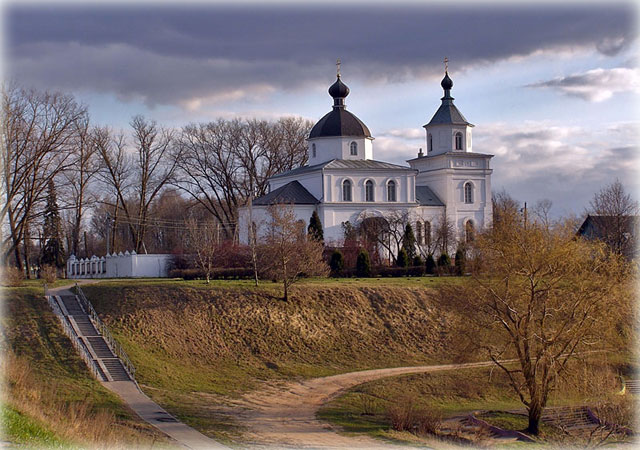 Сеница