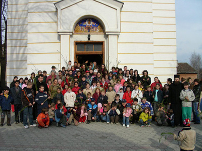 Врбица у Кучеву