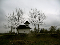 mihaela 
Monastery Turnu, Prahova region - 6 
2007-04-06 13:00:33