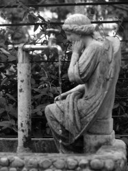 codre 
Fallen angel - Inger cazut 
2007-04-25 14:44:59