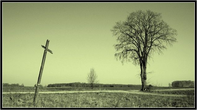 Tylu ludzi już pożegnałem ...