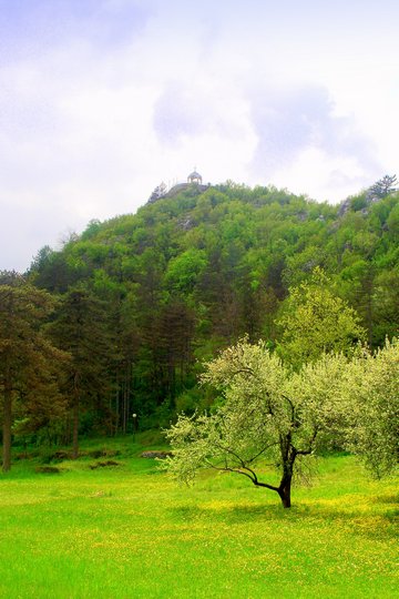 Cetinje
