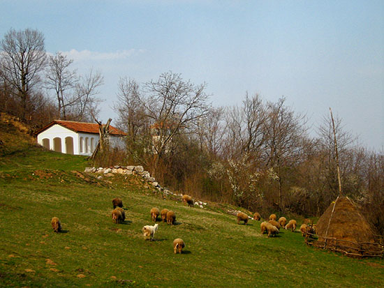 + Манастир Вета + Veta monastery +