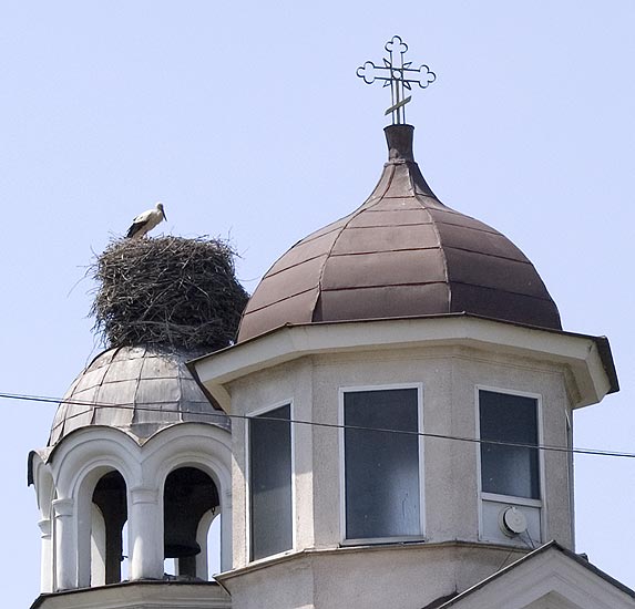Храм Св. Петка и щъркел