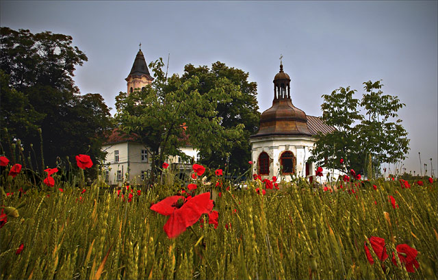 Манастир Фенек  - Monastery Fenek
