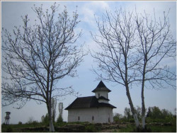 dan 
 Biserica "Sf. Arh. Mihail si Gavriil" a Mănăstiri Turnu - Prahova 
2007-05-07 15:21:54
