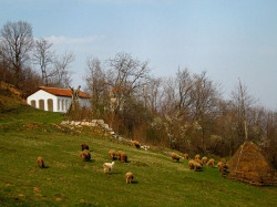 mixajlo 
+ Манастир Вета + Veta monastery + 
2007-05-12 00:15:51
