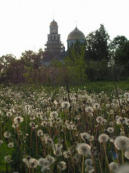 Anoczka 
maj 
2007-05-23 16:43:53