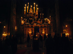 vpopovic 
Бденије 
2007-05-23 22:47:58