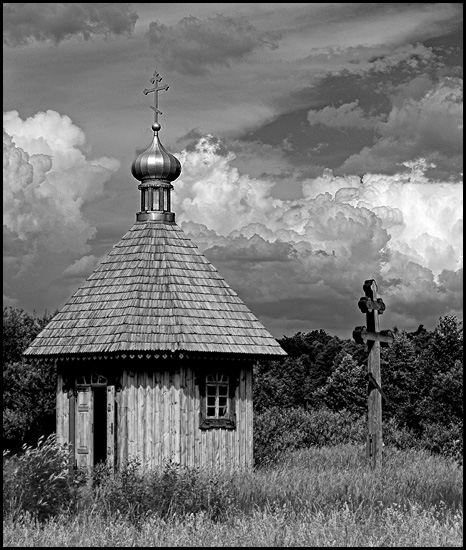 Białowieża
