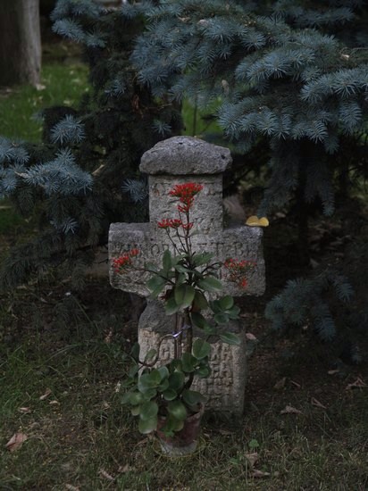 CRUCEA - the CRUCIFIX