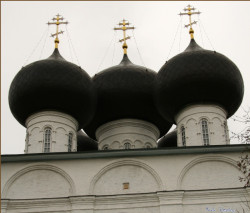 vndonat 
Прямые закомары... 
2007-06-01 21:09:51