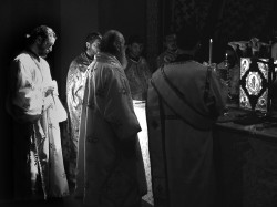 stevica 
Литургија 
2007-06-14 00:51:21