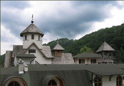 Zoran Sremski 
Соко - Soko 
2007-06-17 13:01:58