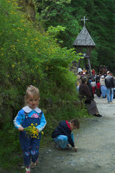 GuliVar 
У Манастиру Црна Река I 
2007-06-24 00:10:51
