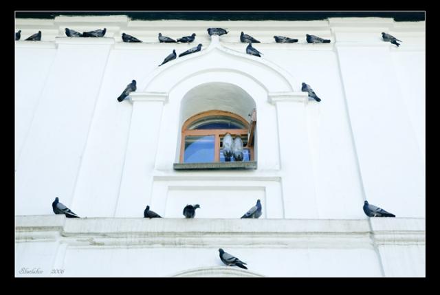 The monk\'s window