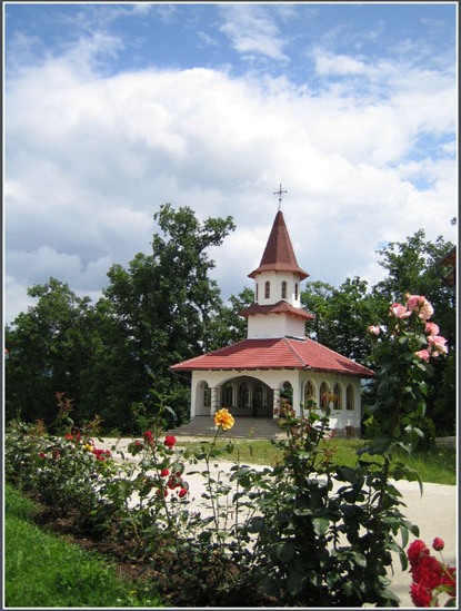  Manastirea "Buna Vestire" Negraia - Patranjeni, ALBA