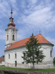 Zoran Sremski 
Буђановци - Budjanovci 
2007-07-11 22:16:49