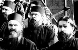 sapuric 
М О Н А С И 
2007-07-16 23:03:30