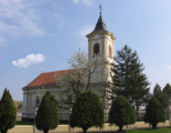 Zoran Sremski 
Путинци - Putinci 
2007-07-29 12:55:56